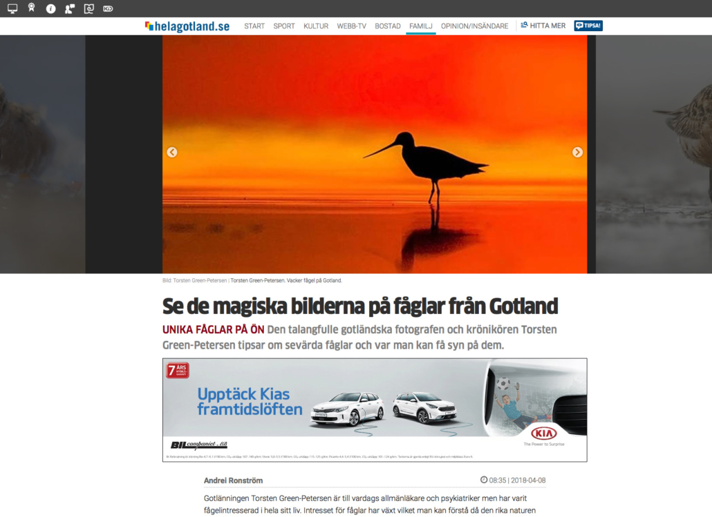 Se de magiska bilderna på fåglar från Gotland Alexa Produktion
